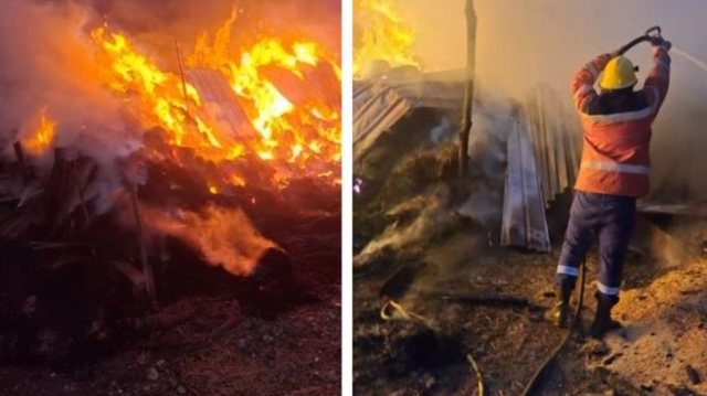 Përfshihet nga flakët magazina në Kodër Bujaras të Elbasanit