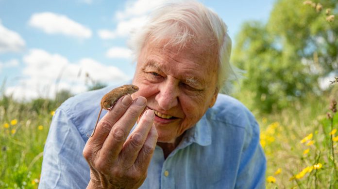 David Attenborough, 100 vjeç, bëhet personi më i moshuar i nominuar ndonjëherë për një Primetime Emmy