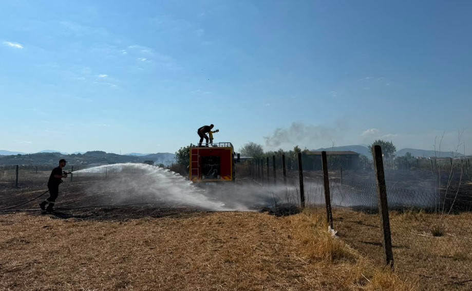 Temperaturat e larta shkaktojnë zjarr në periferi të Cërrikut (VIDEO)