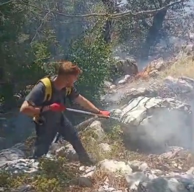 Zjarri në malin e Dardhës, terreni i vështirë dhe era pengojnë shuarjen e flakëve (VIDEO)