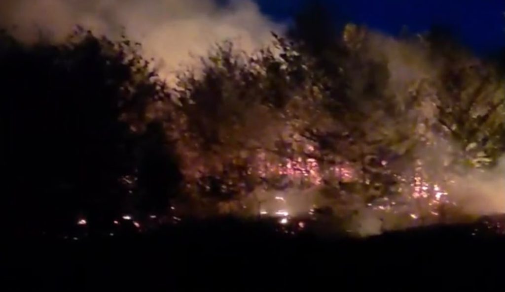 Zjarr në një sipërfaqe pyjore mbi fshatin Sinicë në Devoll, zjarrfikësit në vendngjarje (VIDEO)