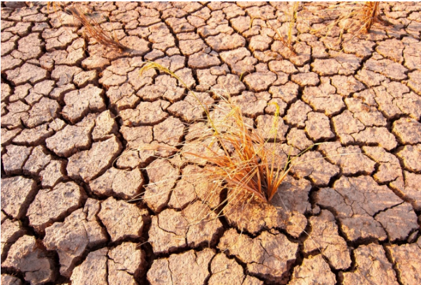 El Niño më i fortë i kohëve moderne është shumë afër, çfarë po e ndryshon motin e planetit