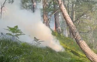 Flakët dalin jashtë kontrollit në Fushë-Bulqizë, vështirësohet ndërhyrja e zjarrfikëseve