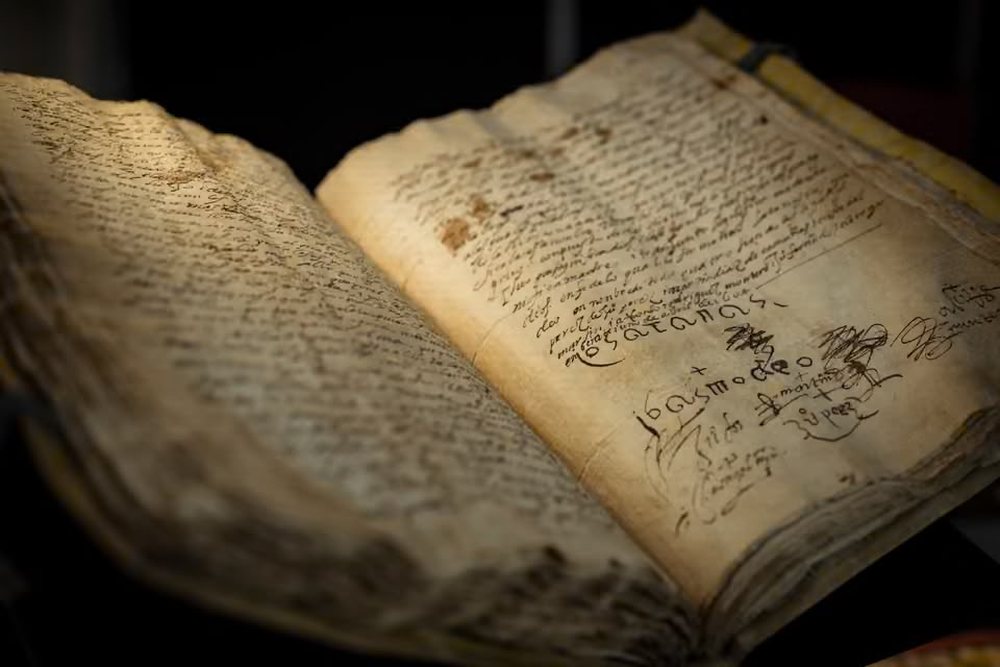 A po i shkatërron, inteligjenca artificiale librat, si po blihen miliona botime nga kompanitë! Dyshime për zhdukje të qëllimshme