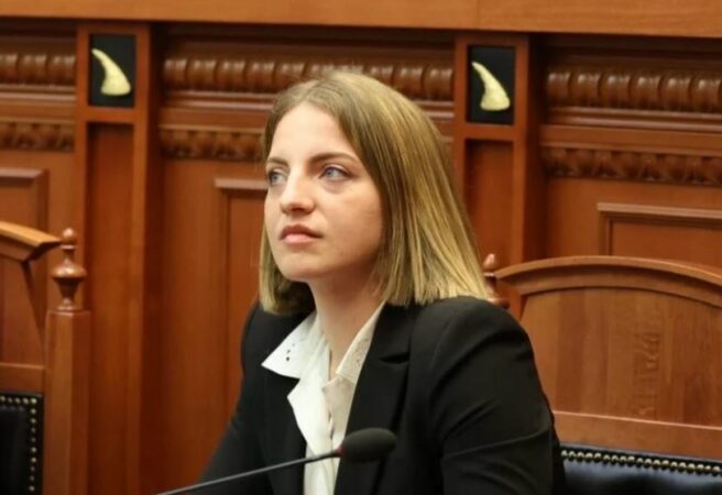 Koçeku akuza qeverisë për zjarret: U kujdesët për Paketën e Maleve, por po digjet pasuria më e madhe e Shqipërisë