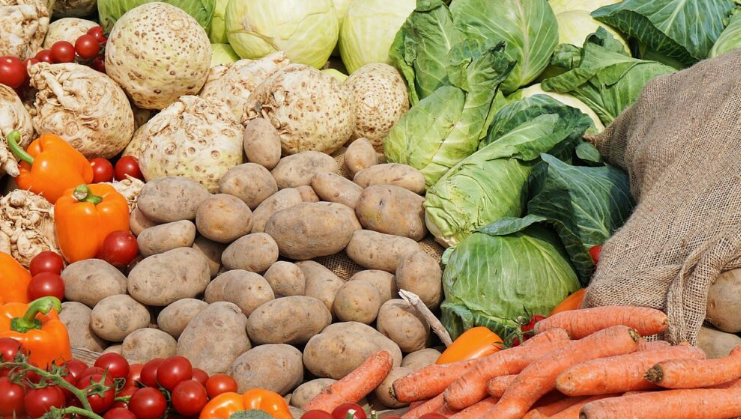 Turizmi po ushqen importet, sasitë e ushqimeve u rritën 13% në janar-korrik