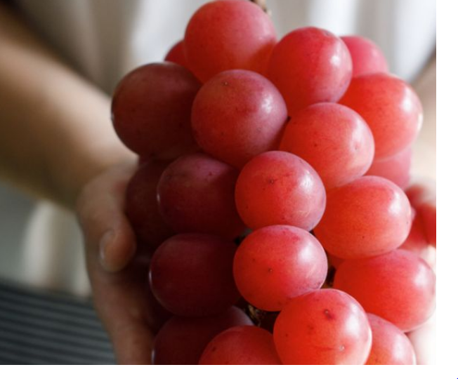 5 frutat më të shtrenjta në botë