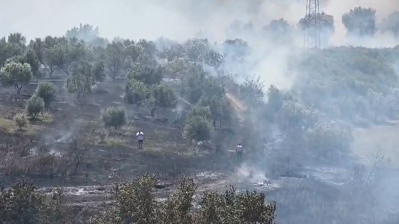 16:11 8 zjarre aktive në vend, Ministria e Mbrojtjes: Në Krujë vijon puna në dy vatra. Nuk ka rrezik për zonat e banuara