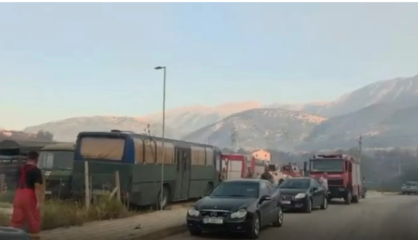 Përmirësohet situata me zjarrin në Himarë/ Banorët apel për ndihmë, mbi 6 mijë rrënjë ullinj shekullorë të përfshirë nga flakët