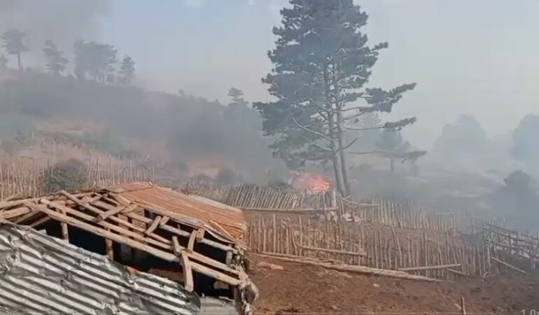 11:35 Zjarri hyn në luginën e Shkopetit, kërkohet ndërhyrje nga ajri me helikopterë