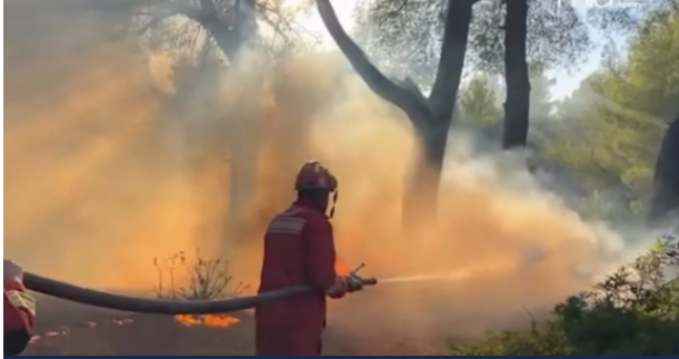 Zjarret në Shqipëri/ 4 vatra mbeten aktive, mbi 500 forca dhe 3 helikopterë në terren