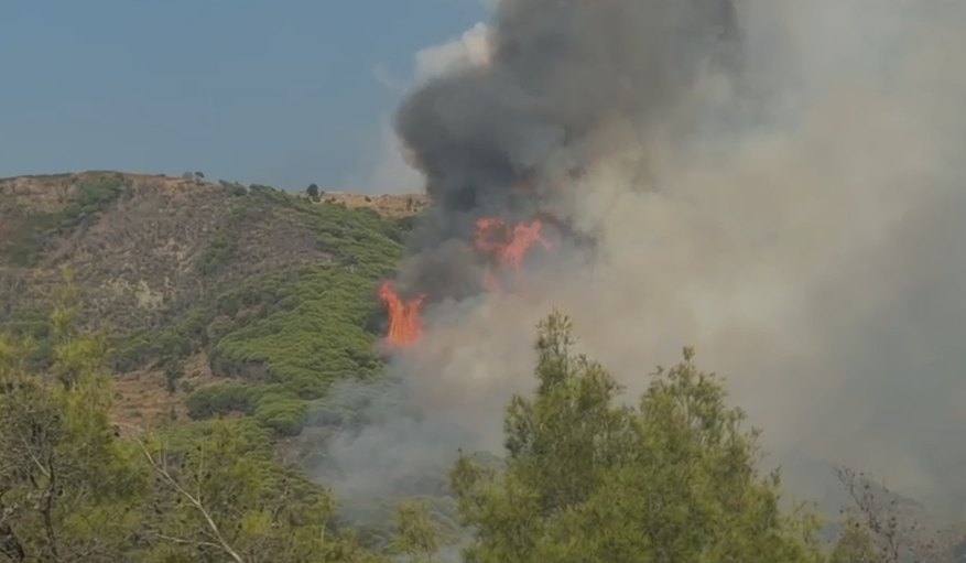 Flakët alarmojnë banorët në Çerrilë, 50 mjete zjarrfikës dhe helikopteri në luftë me zjarrin (VIDEO)