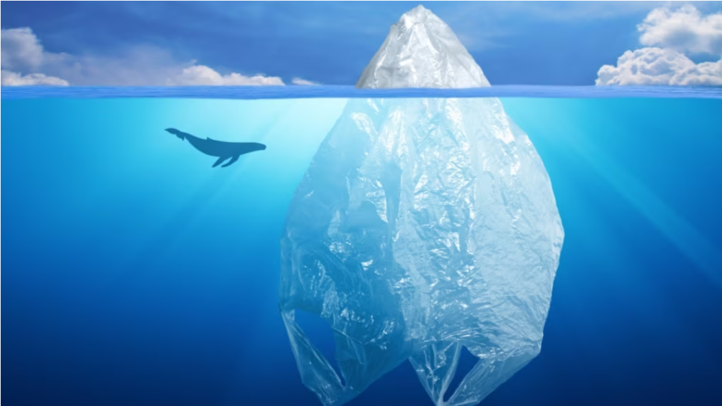 Një oqean me plastikë: çfarë po gjendet në trupin e balenave dhe delfinëve