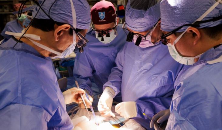 Veshka e transplantuar e derrit funksionoi te njeriu për një rekord prej 271 ditësh