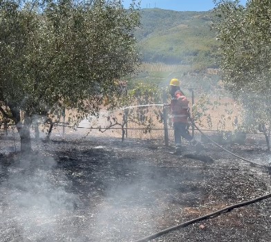 Zjarr në fshatin Shtepanjë të Gostimës, flakët rrezikojnë banesat pranë