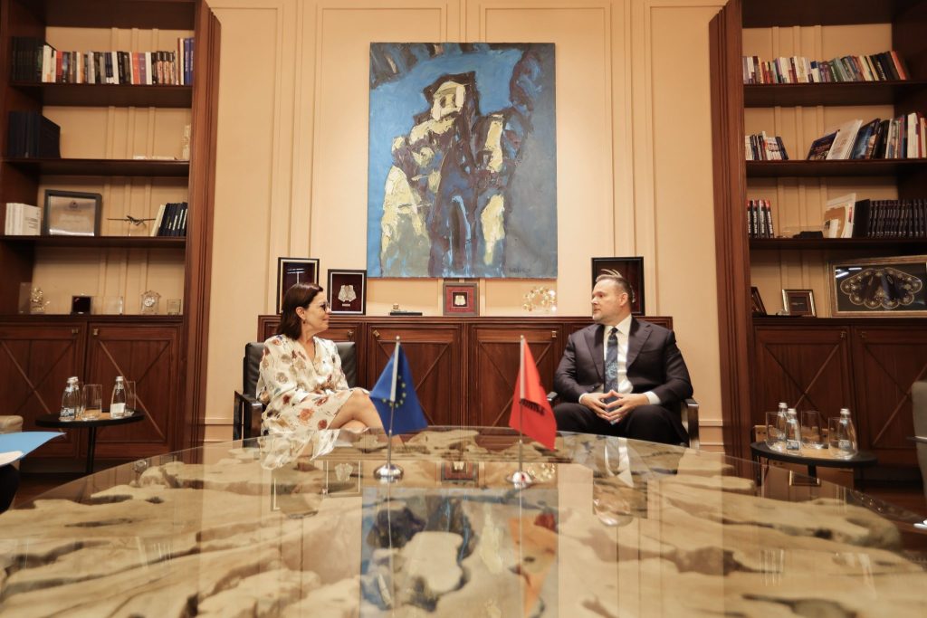 Demo, takim me zyrtaren e lartë të Ballkanit Perëndimor: Shqipëria vijon punën drejt objektivit 2027
