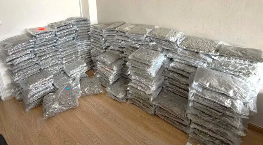300 kg kanabis e fshehur në kamion, arrestohet një person në Greqi: Droga me vlerë mbi 1.2 milion euro