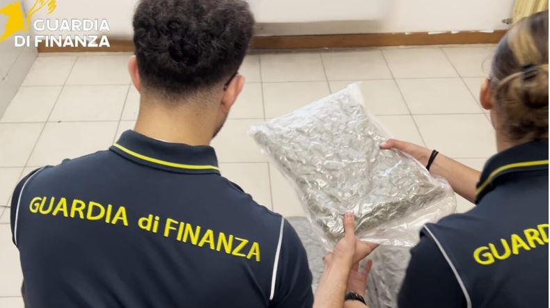 Itali/ Sekuestrohen 157 kg kokainë në një kamion me kuaj, droga kap vlerën 14 milionë euro