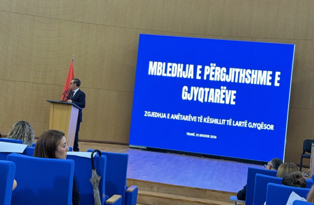 Pagat e magjistratëve, Sadushi: Vendimin përfundimtar e merr Gjykata Kushtetuese