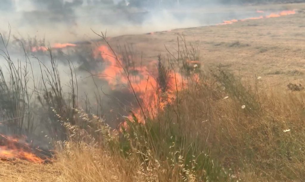 37 mijë ha tokë e djegur nga zjarret këtë verë, dy herë më pak se vjet