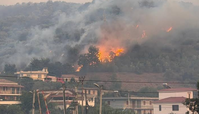 12:10 Zjarret në Shqipëri, Ministria e Mbrojtjes: 8 vatra aktive, operacione intensive në Dajt, Dibër, Lezhë dhe Shkodër