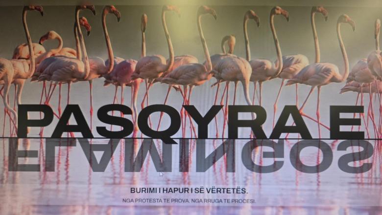 13:59 Prezantohet ‘Flamingo Mirror’, publikohen dokumentet për Sazanin dhe Zvërnecin! Rama: Së shpejti dosja “KAYO”