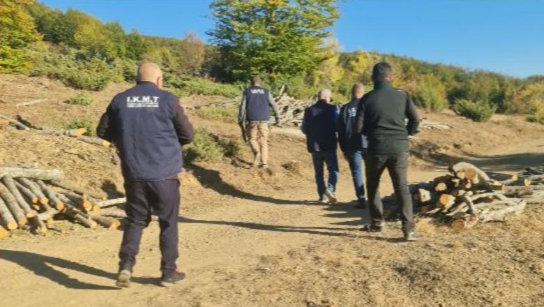 Kukës/ IKMT zbulon 2 raste të prerjes së paligjshme të pemëve, shoqërohen në Polici autorët