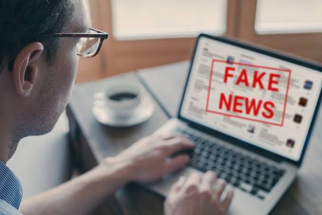 Fake News-et e portaleve anonime, ndotëse të imazhit
