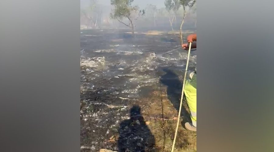 Alarm në Lezhë! Zjarr i madh në fshatin Piraj, flakët i afrohen banesave dhe kishës