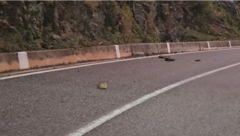 Reshjet e dendura të shiut sjellin probleme në Kukës, gurë në rrugë dhe mjegull në qytet