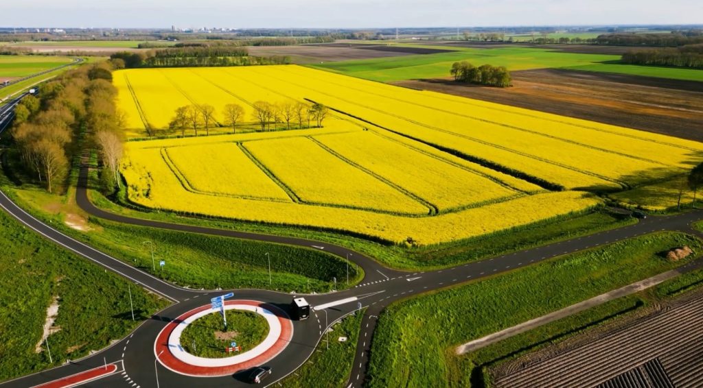 Klima po ndryshon bujqësinë, Holanda nis kultivimin e orizit