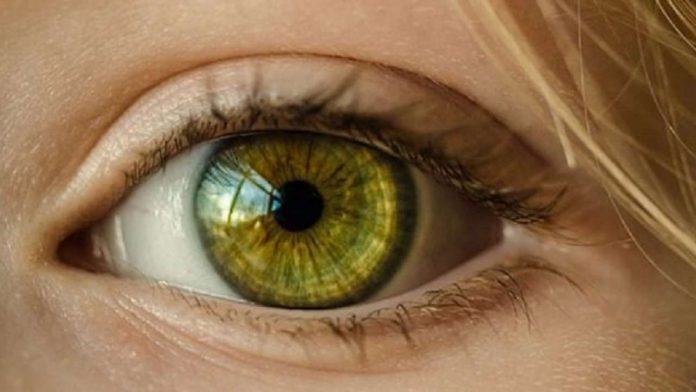 “Retina është një dritare e shëndetit”/ Nga diabeti te hipertensioni, sytë mund të zbulojnë sëmundje të fshehura (Lifestyle)