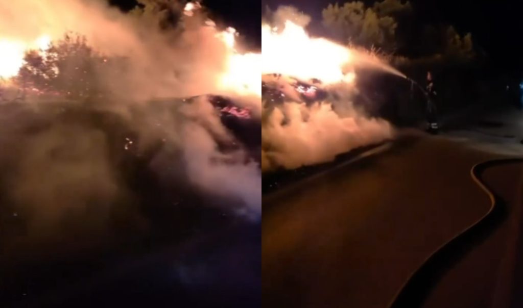 Zjarri përfshin Bestrovën, tre vatra aktive dhe dëme të konsiderueshme në ullinj, dyshohet për zjarrvënie të qëllimshme